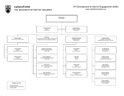 DAE high level org chart (PDF) - Vice
