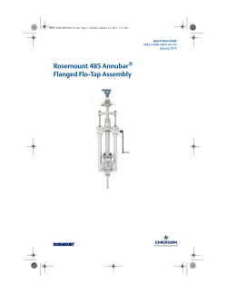 Rosemount 485 Annubar® Flanged Flo-Tap Assembly