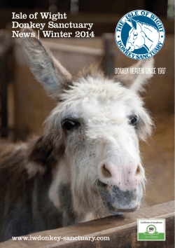 Isle of Wight Donkey Sanctuary News | Winter 2014