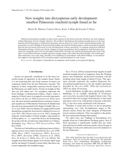 Download PDF - Palaeodiversity