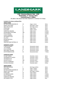 Boyanup Weaner 7.1.15