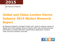 Global and China Leather Gloves Industry 2015