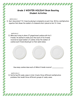 Grade 3 WINTER HOLIDAY Brain Boosting Student Activities