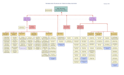 ITS Organization