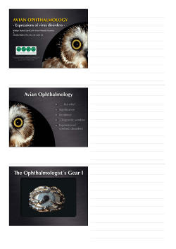 Avian Ophthalmology - Adviespraktijk voor Vogels
