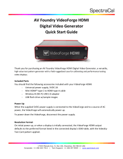 AV Foundry VideoForge HDMI Digital Video Generator