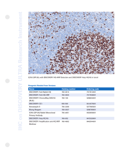 DISCOVERY-HQ-HRP detection and DISCOVERY AMP