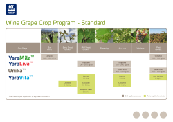 Wine Grape Fertilizer Program in PDF