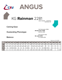 KG Rainman 2281