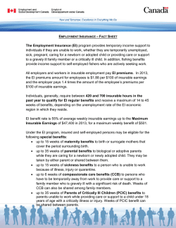 The Employment Insurance (EI) program provides temporary income