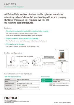 GW-100 CO2 insufflation