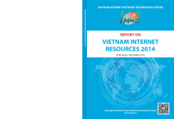 report on vietnam internet resources 2014