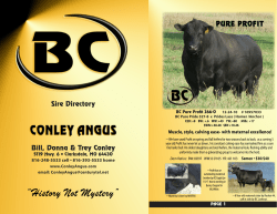 part 1 - Conley Angus