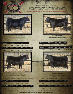 2014 private treaty bull sale flyer # 2
