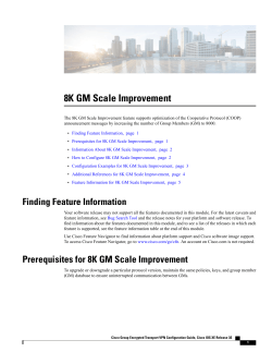 Feature Information for 8K GM Scale Improvement