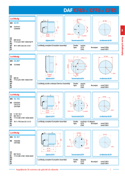 in .pdf