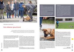Download dit bericht.