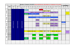 Trimester 8