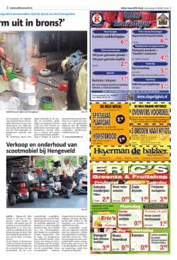 kt u die vorm uit in brons?&#39