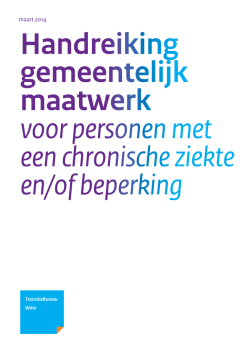 Handreiking gemeentelijk maatwerk