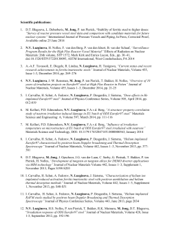 Scientific publications: 1. D.T. Blagoeva, L. Debarberis, M. Jong, P