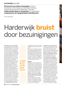 Harderwijk bruist door bezuinigingen - Binnenlands