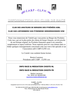 Info Race