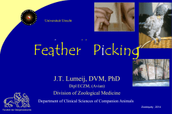 J.T. Lumeij, DVM, PhD