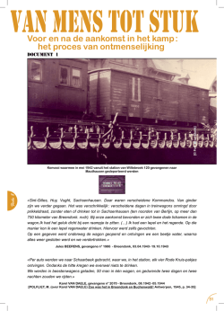 Voor en na de aankomst in het kamp : het proces van
