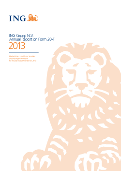 2013 ING Groep N.V. Annual Report on Form 20-F