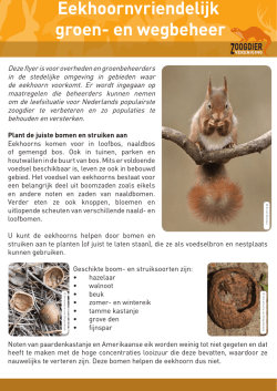 Eekhoornvriendelijk groen- en wegbeheer