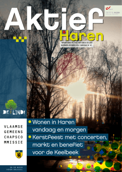 Download de publicatie