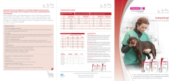 Download de PDF