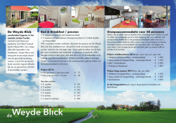 MK+-De Weyde Blick flyer.indd
