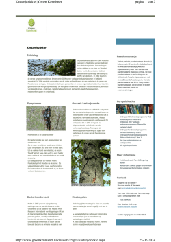 Informatieblad kastanjeziekte Groen Kennisnet
