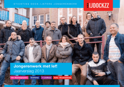 Jongerenwerk met lef! Jaarverslag 2013