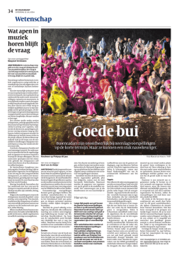 Goede Bui (Volkskrant)