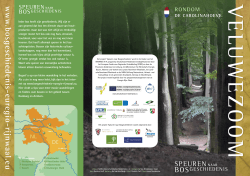 Veluwezoom - Speuren naar bosgeschiedenis