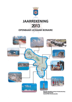 Jaarrekeningen 2013 - Openbaar Lichaam Bonaire