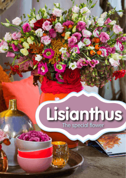 Lisianthus - OZ Export