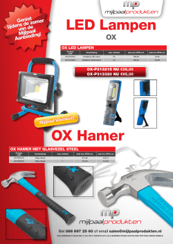 LED Lampen OX Hamer - Mijlpaal Produkten