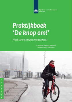 Werkboek de knop om - Rijksdienst voor Ondernemend Nederland