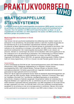 MAATSCHAPPELIJKE STEUNSYSTEMEN