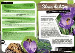 biologische bloembollen voor bijen