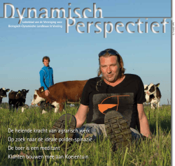 Dynamisch Perspectief 2014 - BD
