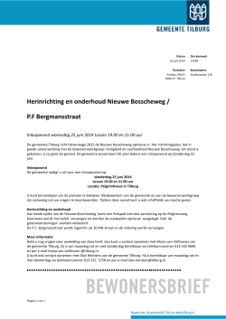 Herinrichting en onderhoud Nieuwe Bosscheweg / P.F
