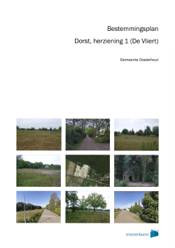 Bestemmingsplan Dorst, herziening 1 (De Vliert) gf*^ ^ ^ ^ ^ ^