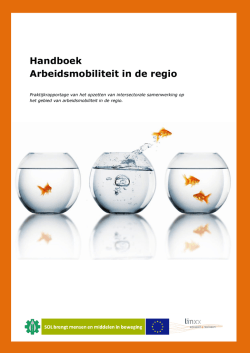 Handboek Arbeidsmobiliteit in de regio