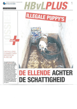 hbvl2014 pdf.compressed - Puppy kopen? Let op voor broodfokkers!