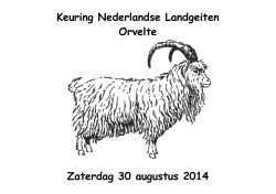 Keuring Nederlandse Landgeiten Orvelte Zaterdag 30 augustus 2014